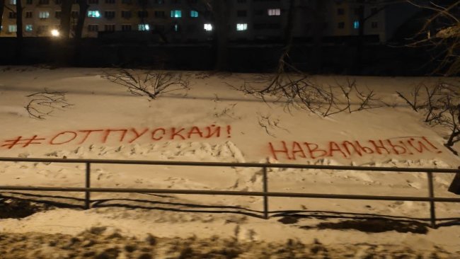 Активистов из Владивостока задержали за надпись в поддержку Навального на снегу